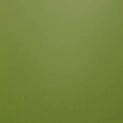 Imitation Leather Hille - May Green