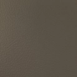 Sky Plus Imitation Leather Flame Retardant B1 - Stone Grey Oliv
