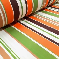 Raya - Retro Stripe Design